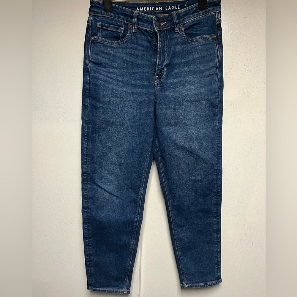 American Eagle mom jeans size 6R